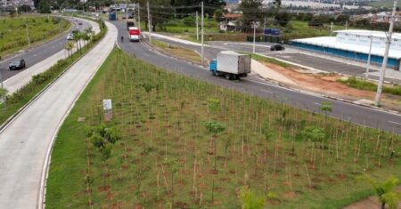 Campinas amplia áreas verdes com novas praças e reflorestamento no Campo Grande