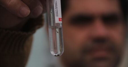 Hortolândia faz contagem de larvas de Aedes aegypti em residências