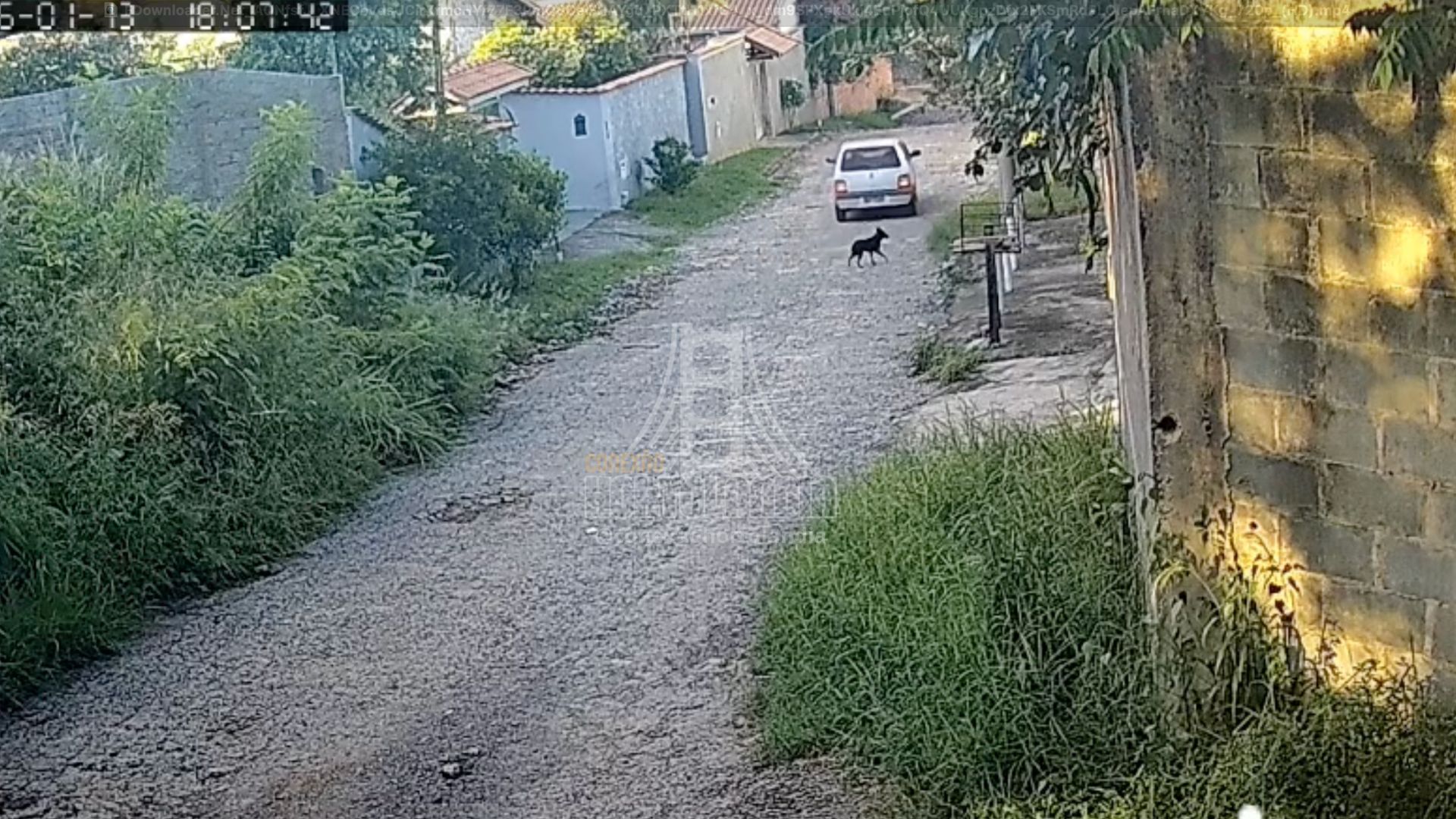 Carro da motorista flagrada abandonando cachorra em Campinas. Foto: Reprodução.