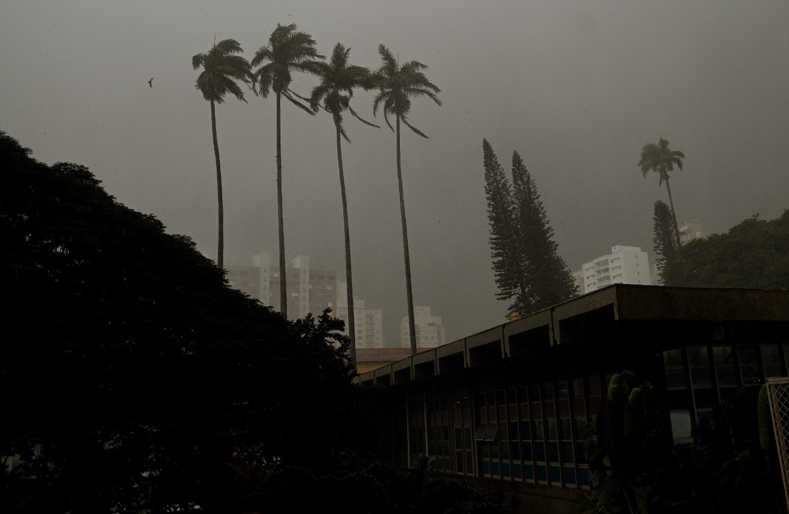 Parques fechados devido à chuva intensa em Campinas. Foto: Redes sociais.