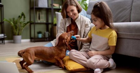 Com 160 milhões de pets, brasileiros passam a buscar produtos de limpeza mais seguros