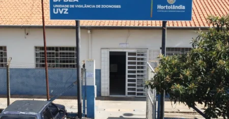 Saiba como denunciar maus-tratos a animais em Hortolândia e ajude a salvar vidas