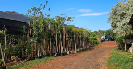 Hortolândia é tetra na área ambiental
