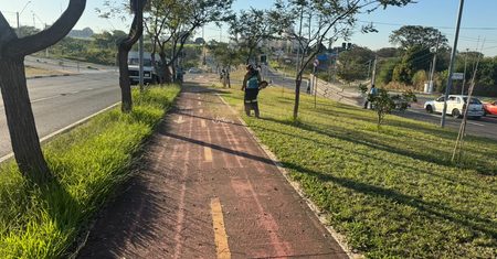 Trechos entre o Corredor Metropolitano e a Av. Olívio Franceschini recebem mutirão de poda do mato e limpeza 