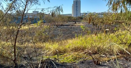 Onda de calor e estiagem exigem alerta máximo contra queimadas em Hortolândia