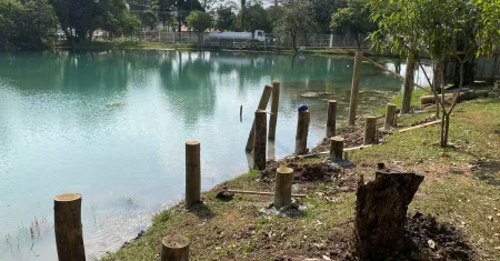 Parque Dorothy Stang ganhará deck de 120 m² sobre lagoa em Hortolândia