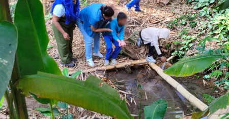 Projeto leva 210 alunos para conhecer e preservar nascentes de Hortolândia