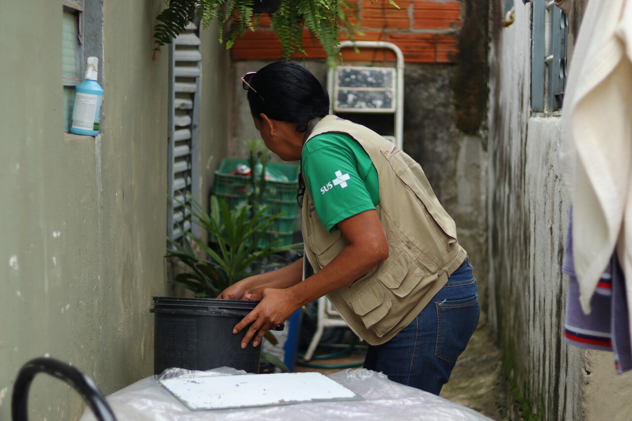 Aedes aegypti em Hortolândia durante ação de vistoria