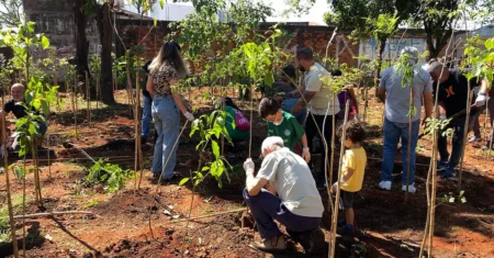 Microfloresta no Jardim Mirante recebe 300 mudas de árvores nativas