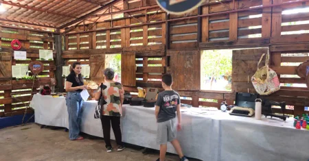Mostra Ambiental gratuita segue até quinta-feira no Parque Dorothy Stang