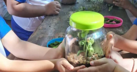 Crianças da EMEI Jardim Adelaide participam de oficina de terrários em Hortolândia
